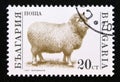 Postage stamp Bulgaria 1991. Domestic Sheep Ovis ammon aries