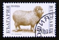 Postage stamp Bulgaria, 1991. Domestic Sheep Ovis ammon aries