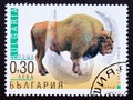 Postage stamp Bulgaria 2000, European Bison, Bison bonasus