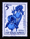 Postage stamp Bulgaria, 1986. Iris germanica garden flower