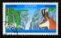 Postage stamp Bulgaria, 1999. National Park Central Balkan, Balkan Chamois Rupicapra rupi Royalty Free Stock Photo