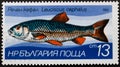 Postage stamp Bulgaria