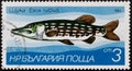 Postage stamp Bulgaria Royalty Free Stock Photo