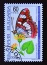 Postage stamp Bulgaria, 1998. Southern White Admiral Limenitis reducta butterfly