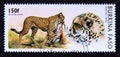 Postage stamp Burkina Faso, 1996. Cheetah Acinonyx jubatus