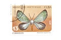 Postage stamp butterfly close up