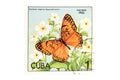 Postage stamp butterfly on white
