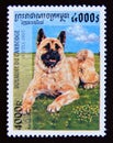 Postage stamp Cambodia 1997. Akita Inu Canis lupus familiaris dog breed Royalty Free Stock Photo