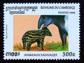 Postage stamp Cambodia 1996. Asian Tapir Tapirus indicus Royalty Free Stock Photo