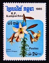 Postage stamp Cambodia 1985. Black Dragon Lilium lilly flower