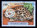 Postage stamp Cambodia 1996. Black footed Cat Felis nigripes Royalty Free Stock Photo