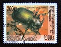 Postage stamp Cambodia, 2000. European Calosoma Beetle Calosoma sycophanta insect Royalty Free Stock Photo