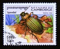 Postage stamp Cambodia, 1998. Golden Ground Beetle Carabus auronitens insect Royalty Free Stock Photo