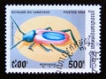 Postage stamp Cambodia, 1994. Long horned Beetle Purpuricenus kaehler insect