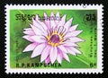 Postage stamp Cambodia, 1989. Nymphaea Dir Geo. T. Moore flower Royalty Free Stock Photo