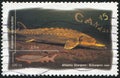 Postage stamp