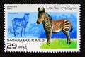 Postage stamp Cinderella, 1996. Mountain Zebra Equus zebra