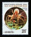 Postage stamp Congo Democratic Republic Brazzaville, 1994. Tarantula spider Theraphosidae