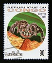 Postage stamp Congo Democratic Republic Brazzaville, 1994. Tarantula spider Theraphosidae