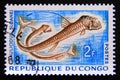 Postage stamp Congo Republic Brazzaville, 1961. Sloane`s Viperfish Chauliodus sloani Royalty Free Stock Photo