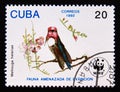Postage stamp Cuba 1992. Bee Hummingbird Mellisuga helenae