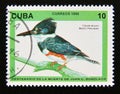 Postage stamp Cuba, 1996. Belted Kingfisher Ceryle alcyon bird Royalty Free Stock Photo