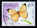 Postage stamp Cuba, 1995. Black striped White Melete salacia cubana butterfly