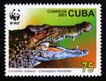 Postage stamp Cuba, 2003. Cuban Crocodile Crocodylus rhombifer animal portrait Royalty Free Stock Photo