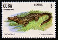 Postage stamp Cuba 1982. Cuban Crocodile Crocodylus rhombifer Royalty Free Stock Photo