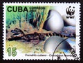 Postage stamp Cuba 2003, Cuban Crocodile, Crocodylus rhombifer Royalty Free Stock Photo