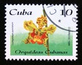 Postage stamp Cuba, 1996. Cyrtopodium punctatum orchid flower Royalty Free Stock Photo