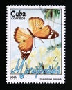 Postage stamp Cuba, 1991. Danaid Eggfly Hypolimnas misippus butterfly