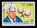 Postage stamp Cuba 1991. Luis A. Delgadillo and maracas Nicaragua