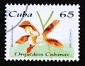 Postage stamp Cuba, 1995. Macradenia lutescens orchid flower