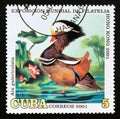 Postage stamp Cuba 2001. Mandarin Duck Aix galericulata