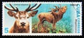 Postage stamp Cuba, 2002. Red Deer Cervus elaphus, Megaloceros prehistoric dinosaur