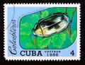 Postage stamp Cuba, 1988. Scarab Beetle Plusiotis argenteola insect
