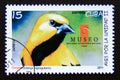 Postage stamp Cuba, 2011. Yellow Oriole Icterus nigrogularis bird Royalty Free Stock Photo