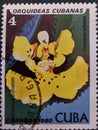 postage stamp, cuban flowers, postal illustration,