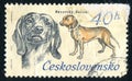 Postage stamp