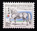 Postage stamp Czechoslovakia 1976. Kladruby Stallion horse Equus ferus caballus Generalissimus XXV Royalty Free Stock Photo