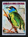 Postage stamp Equatorial Guinea, 1976. Blue throated Barbet Psilopogon asiaticus bird