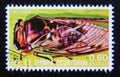 Postage stamp Equatorial Guinea, 1978. Cicada Cicadidae insect