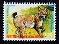 Postage stamp Equatorial Guinea, 1974. Eurasian Lynx Lynx lynx