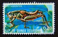 Postage stamp Equatorial Guinea, 1978. Grasshopper Caelifera suborder insect