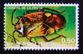 Postage stamp Equatorial Guinea, 1978. Leptoglossus Heteroptera suborder insect