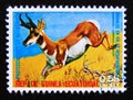 Postage stamp Equatorial Guinea, 1974. Pronghorn Antilocapra americana Royalty Free Stock Photo