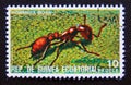 Postage stamp Equatorial Guinea, 1978. Red Wood Ant Formica rufa insect