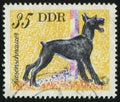 Postage stamp