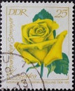 a postage stamp from Germany, GDR showing a yellow rose KÃÂ¶penicker Sommer in small format postal stamp.